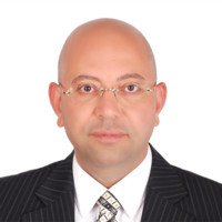 Hesham Amer