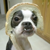 beusse l'eclair