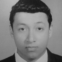 Francis Javier Bran Villalobos