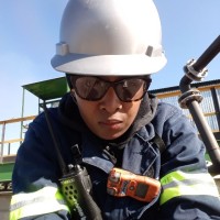 Phillipine Shika