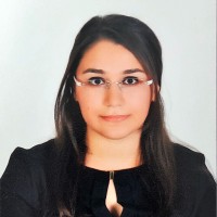 Zozan Yacan