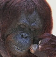 Mamy Esposito's