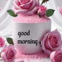 Shahid Mumtaz