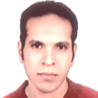 waleed mohamed