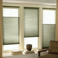 Surprise Blinds