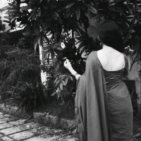 Nancy L