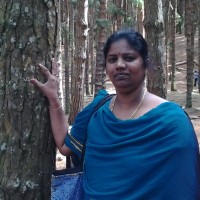 Johnsi Bosco