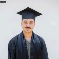 Mohammed Elmetwaly