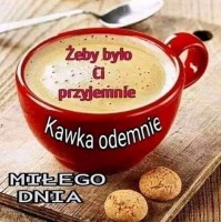 Katolicki Głos W Internecie