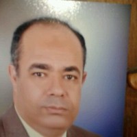 عادل المصرى