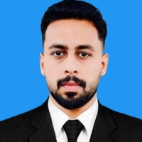 Amir Bajwa