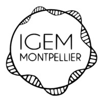 Igem Montpellier