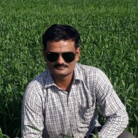 Nilesh Jamariya
