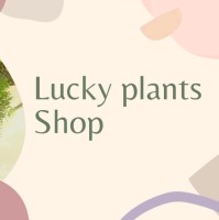 Lucky Plants Shop