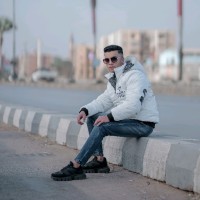 Kareem Walid