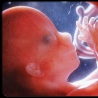 Homero Loza Peñafiel