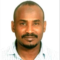Nasreldin Widaa