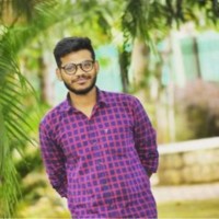 Vitthu P