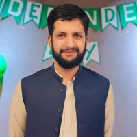Hamza Saleem