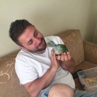 OKTAY DOĞAN
