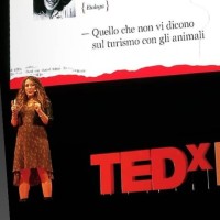 Chiara Grasso
