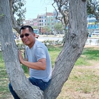 Henrry Guerra Shuña