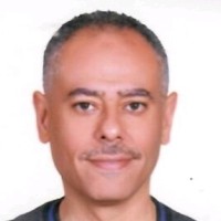 Mohamed Elsaadany