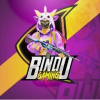 Bindu Gaming