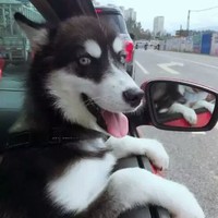 郭振锋