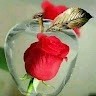 Gadilinga H
