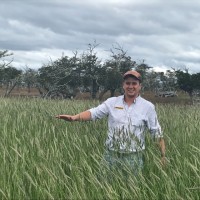 Günther Opitz Kortmann