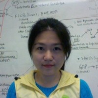 Yiqing Wang