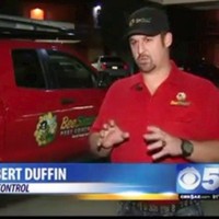 Robert Duffin