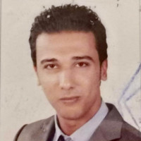 mohamed wafi