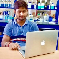 Rajnesh Kumar Yadav