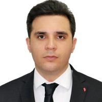 Behzad MAHIGIR ARDABILI