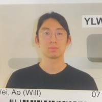 Ao Wei