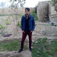 Reza Marjani