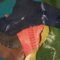 Nkosilathi Sibanda
