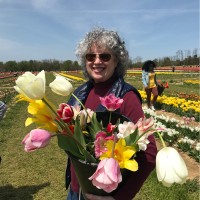 Helen Fialkoff