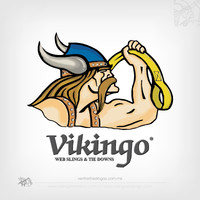 Eslingas Vikingo Mexico