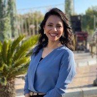 Merna Bassem
