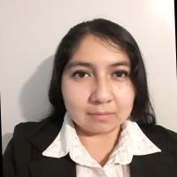 vivian velazquez flores