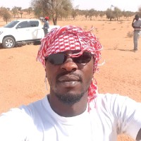 Cheikh Tidiane Gaye