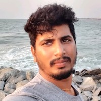 Prajesh N Martis