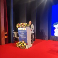 Anjum Feroz