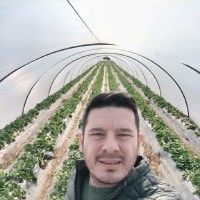 Ramazan Özçelik