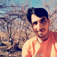 ali hosseini