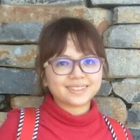 Sheue Lin Lee