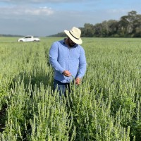 Luiz Henrique Pereira